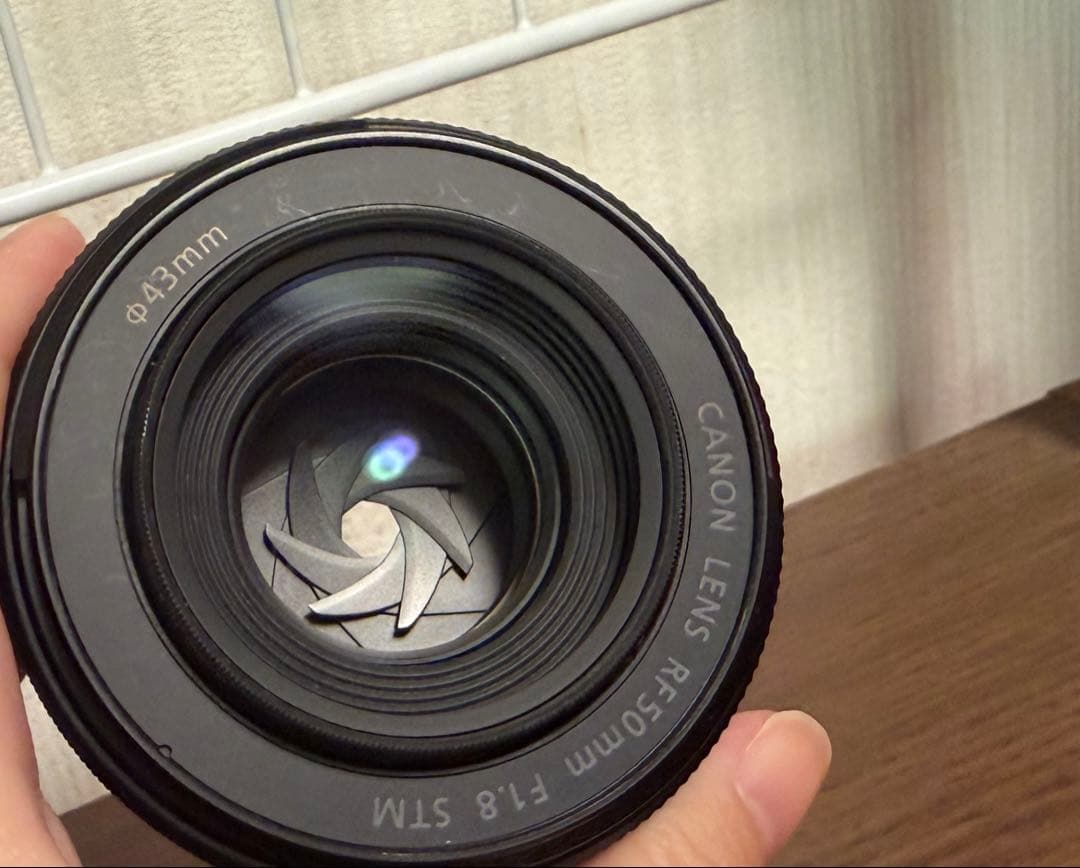 Canon EOS R10 ミラーレス一眼 50mm・18-150mmレンズ付き