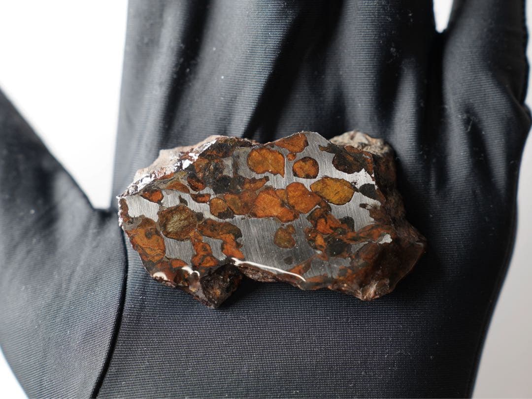 セリコ・パラサイト 隕石 原石標本 黄金色オリビン切面 × 自然外殻｜約30g