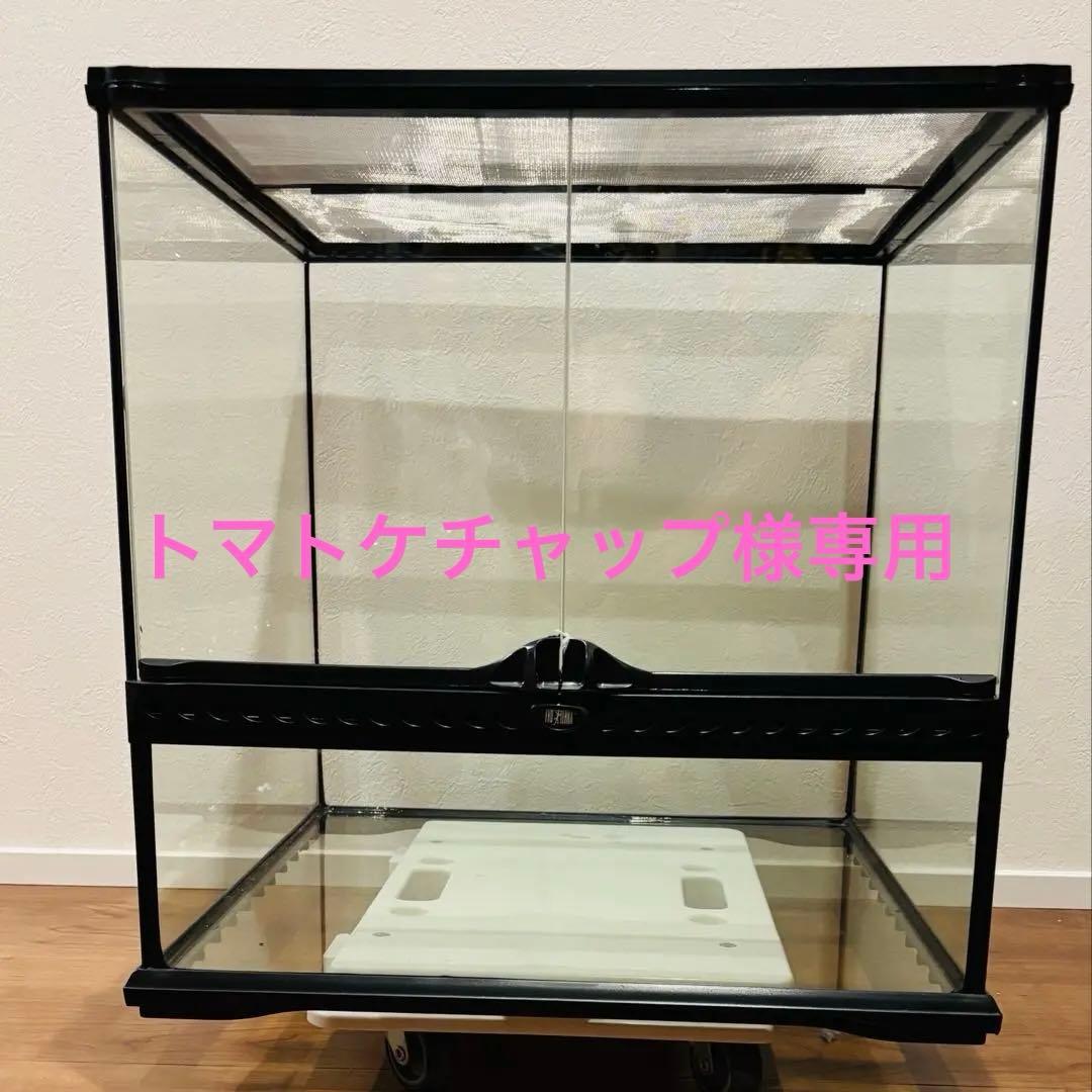 GEX　グラステラリウム　4545　爬虫類　飼育　ケージ　ガラスケージ