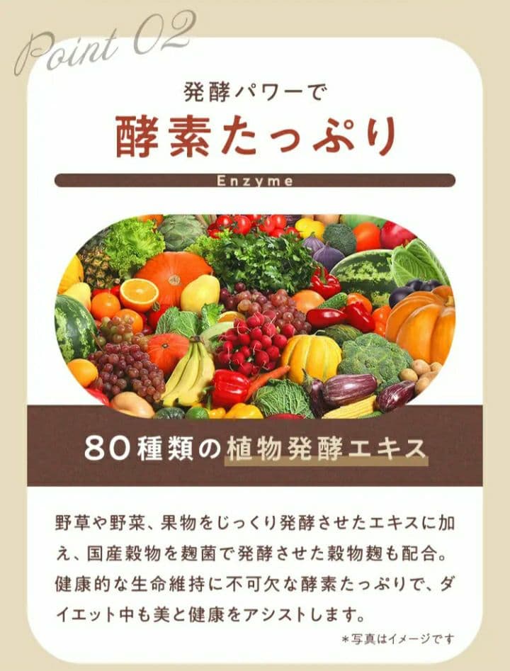 ダイエットココア GRACELL 5袋　超お得セット/酵素乳酸菌プロテイン