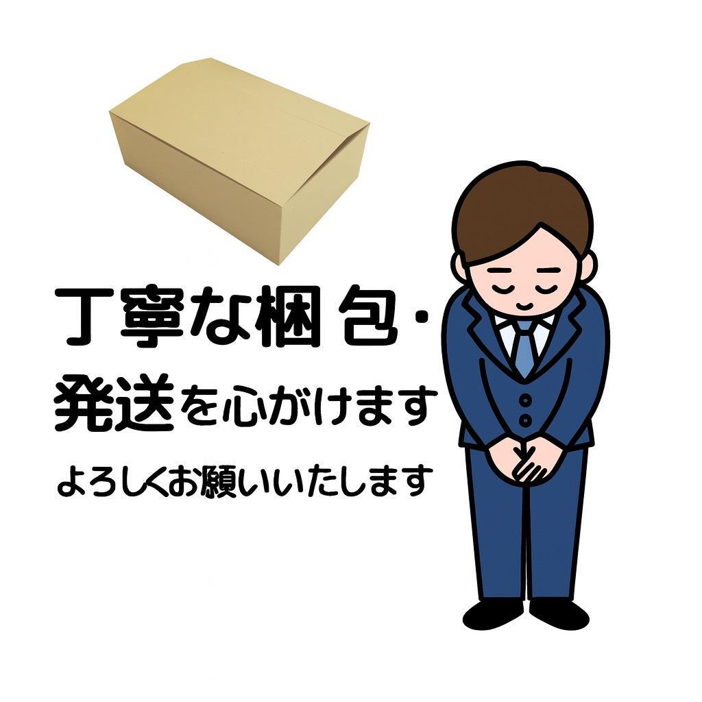 A【2024年モデル】アイリスオーヤマ リンサークリーナー 自動ポンプ式 &軽量