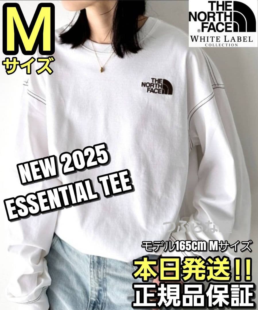 THE NORTH FACE WHITE LABEL Mサイズ TEEホワイト