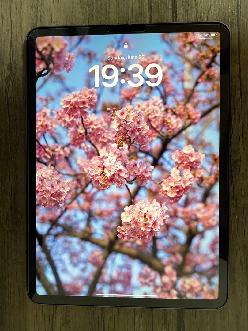 iPad Pro 256GB 11インチ 代1世代 Wi-Fi