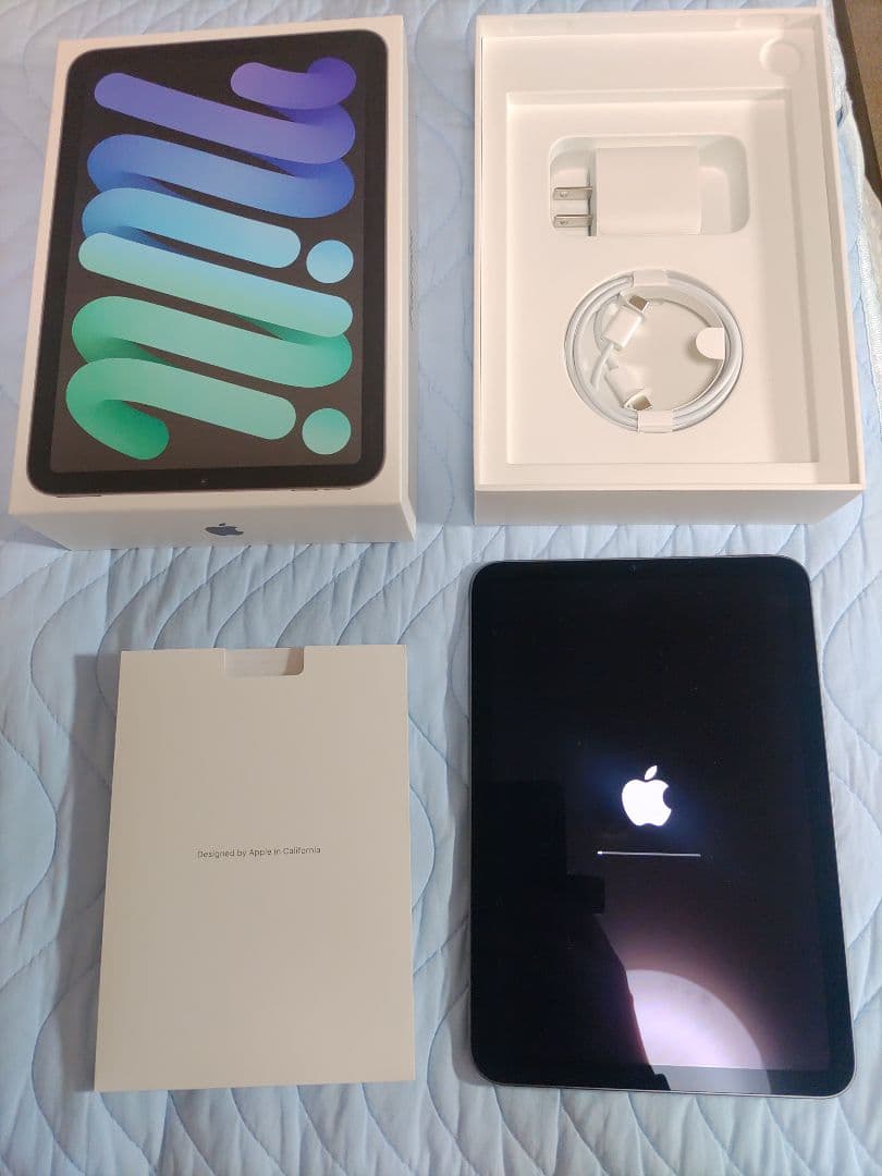 iPad mini6 第6世代 Wi-Fiモデル 256GB 美品 即購入可