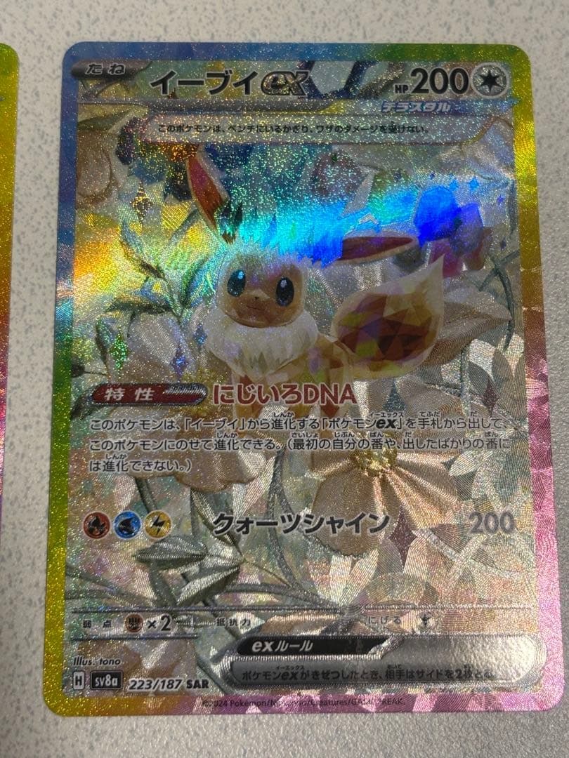 イーブイex 224/187 SARと223/187 SAR テラスタルフェス