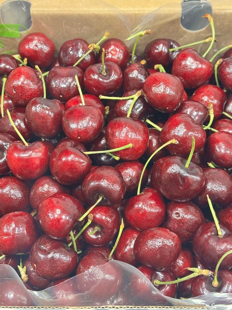 チリ産 チェリー　3JD 2.5kg