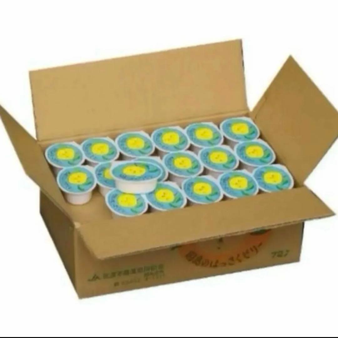 因島産八朔の果肉入りゼリー JA尾道 78g×72個