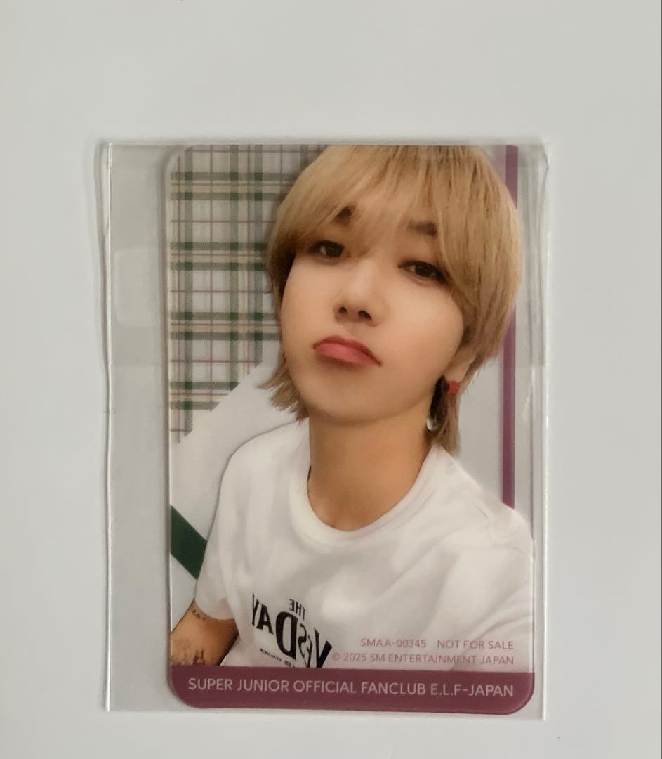 Super junior ELF JAPAN 入会特典 イェソン トレカ