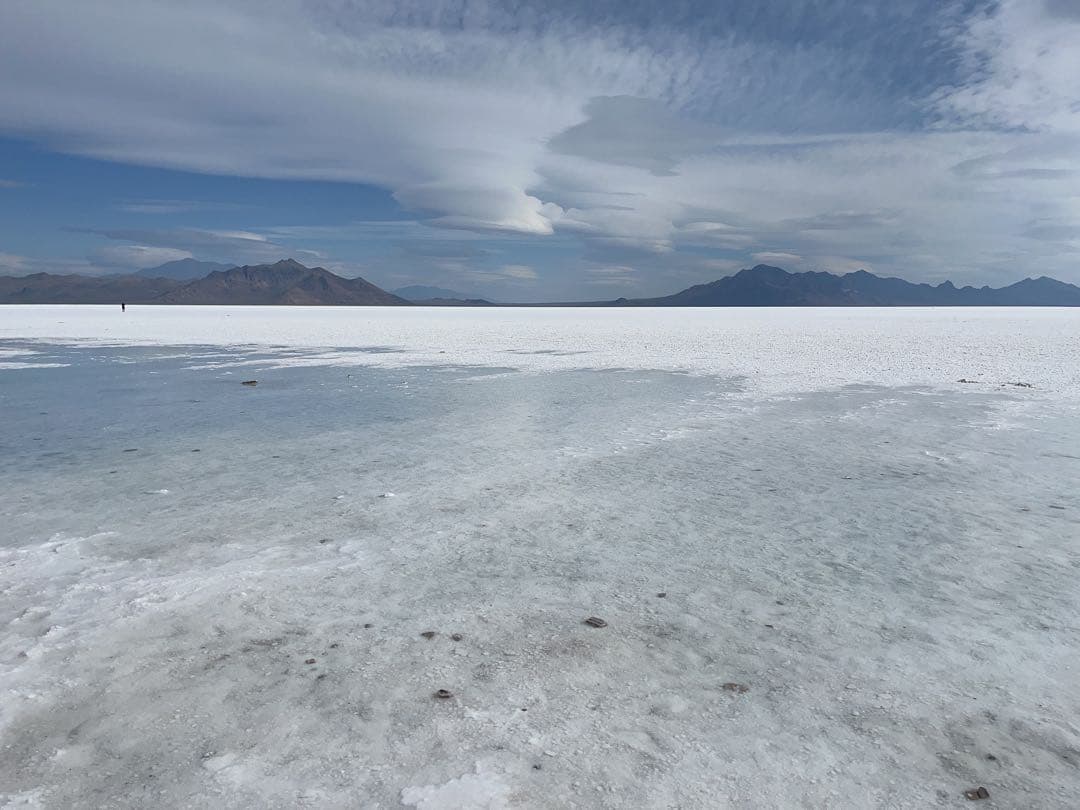 ぽんきち　ニュースキン　製品