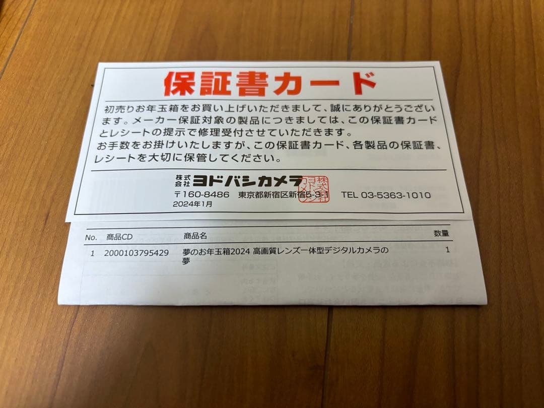 LUMIX FZ1000 II DC-FZ1000M2 ヨドバシお年玉箱2024