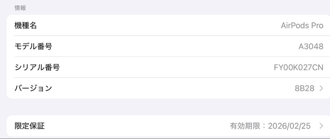 AirPods Pro 2 typec 正規品　イヤホン
